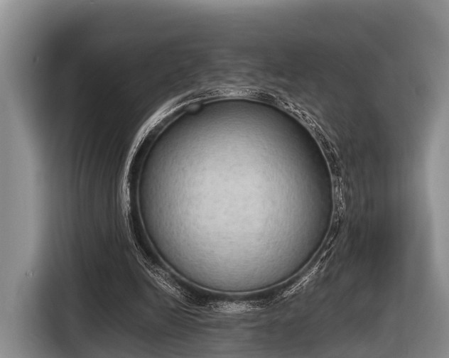 X0000116860246200912291305