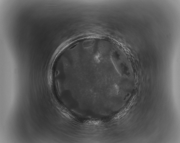 X0000116860247200912291305