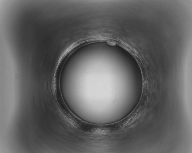 X0000116860248200912291305