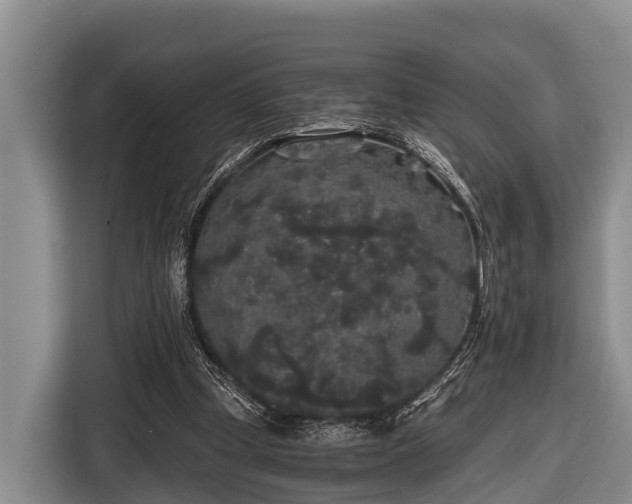 X0000116860249200912291305