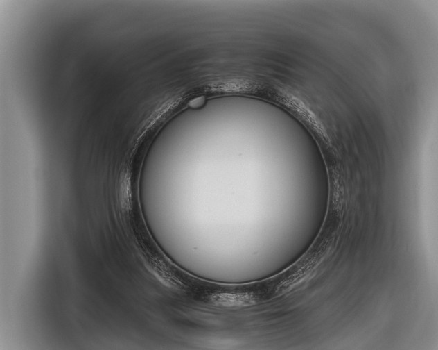 X0000116860251200912291305