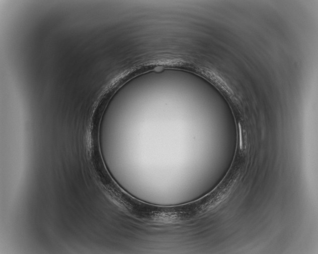 X0000116860252200912291305