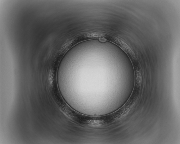 X0000116860255200912291305