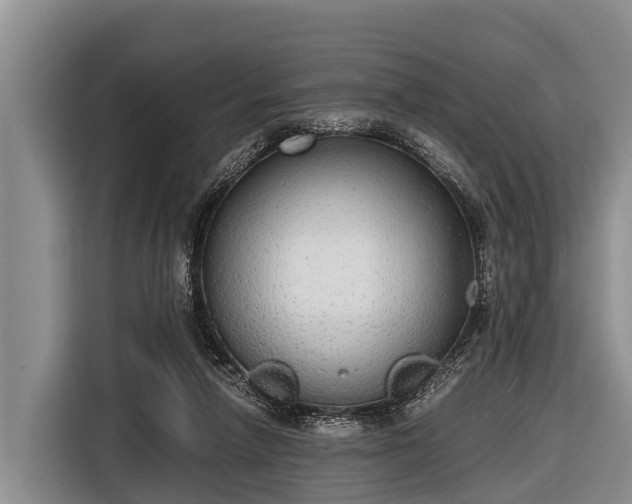 X0000116860258200912291305