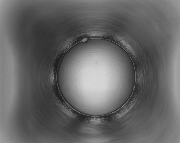 X0000116860261200912291305