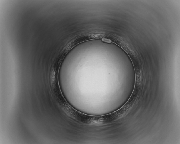 X0000116860263200912291305