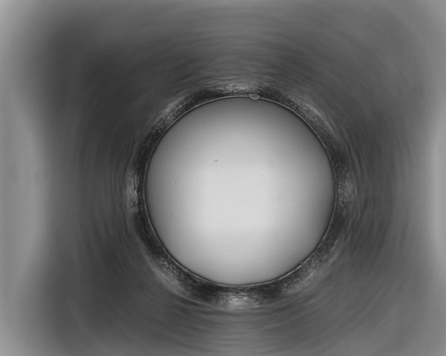 X0000116860264200912291305