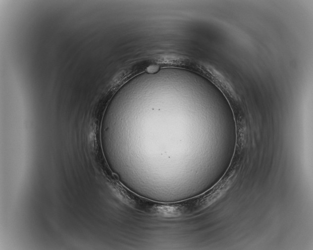 X0000116860265200912291305