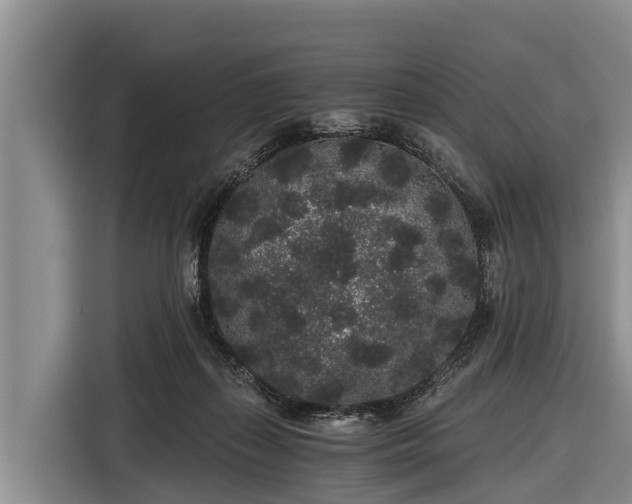 X0000116860267200912291305