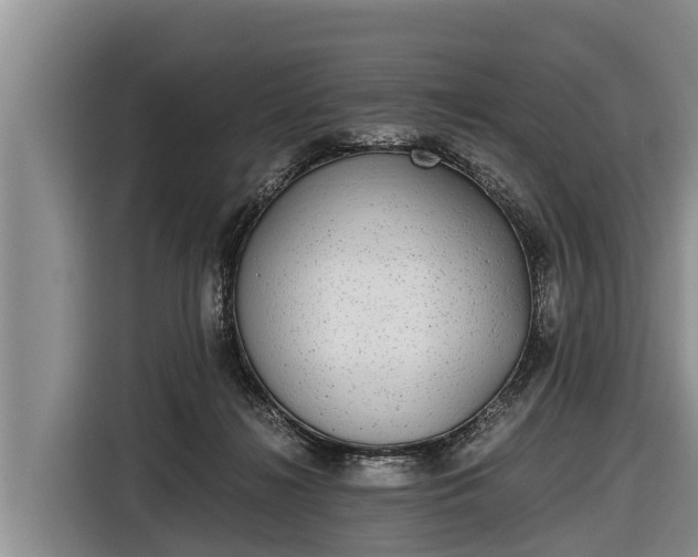 X0000116860268200912291306