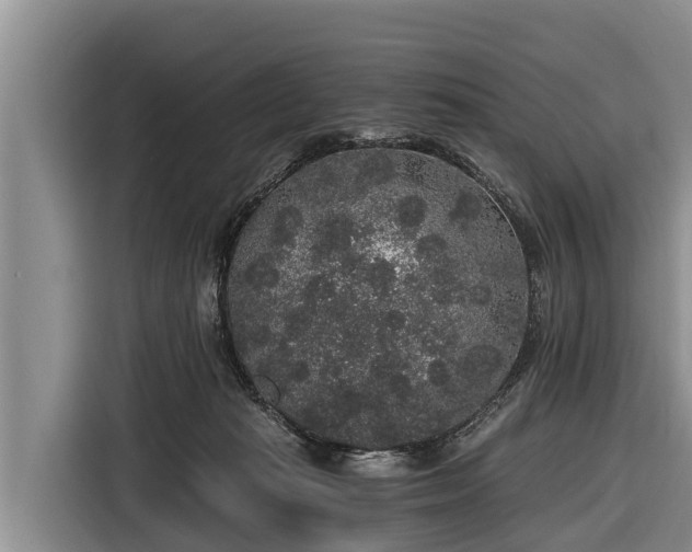 X0000116860269200912291306