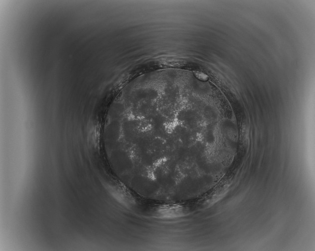 X0000116860271200912291306