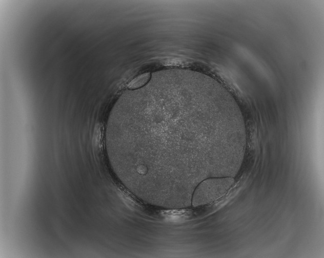 X0000116860273200912291306