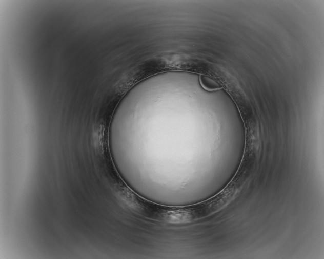 X0000116860275200912291306