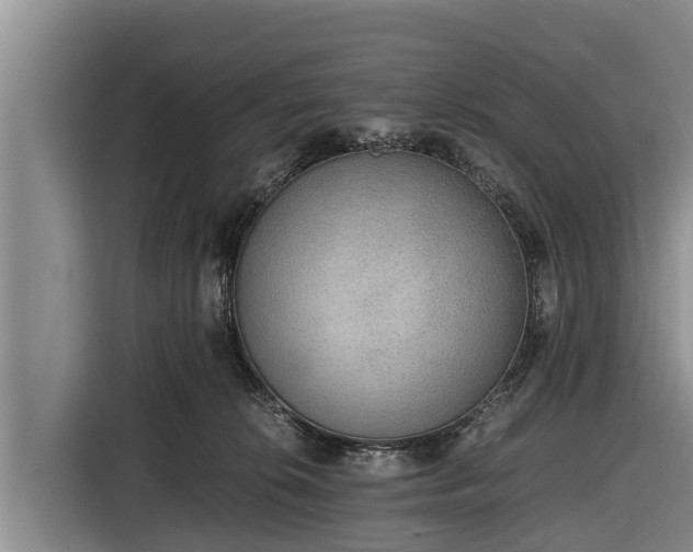 X0000116860276200912291306