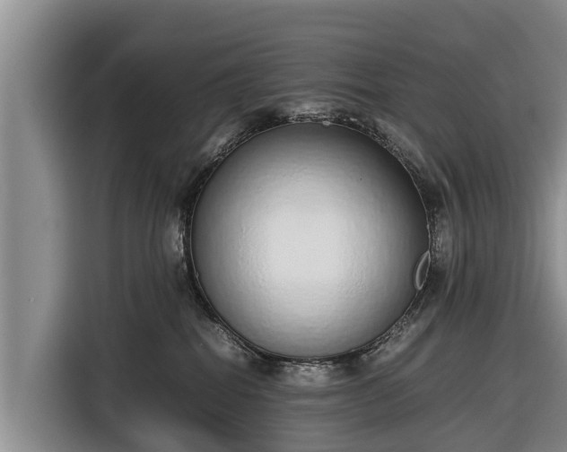 X0000116860282200912291306