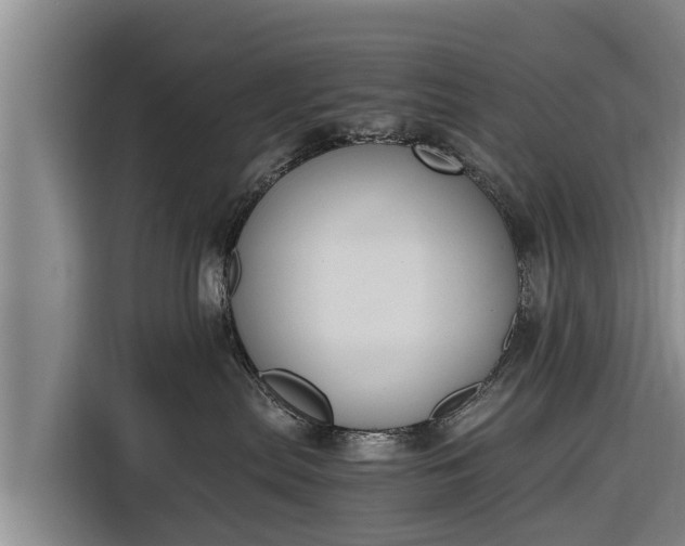 X0000116860287200912291306