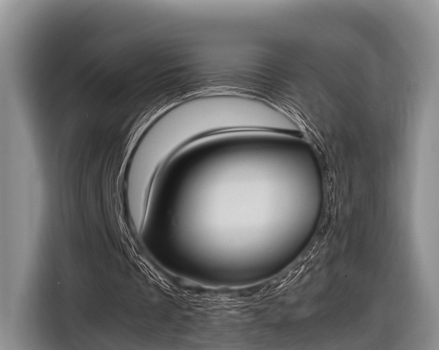 X0000116860289200912291305