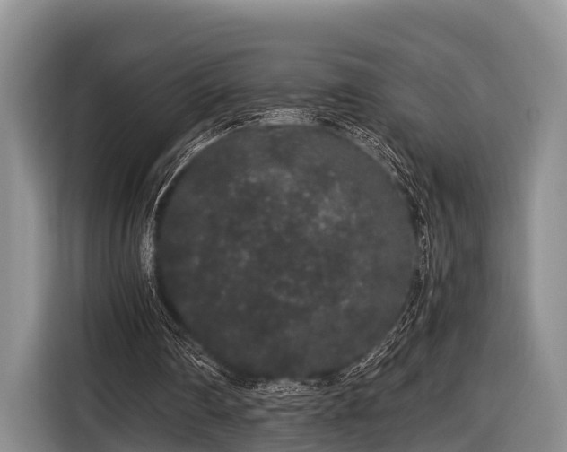 X0000116860290200912291305