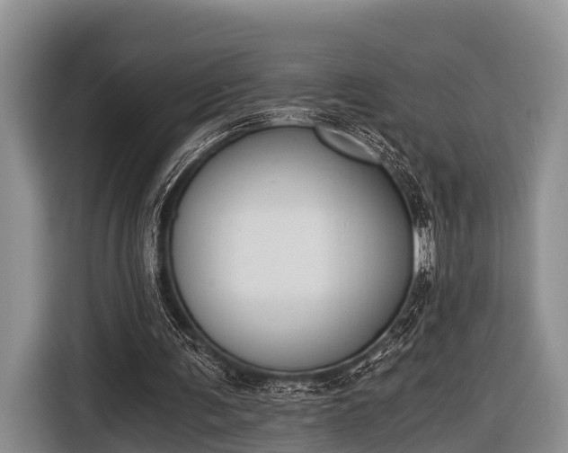 X0000116860291200912291305