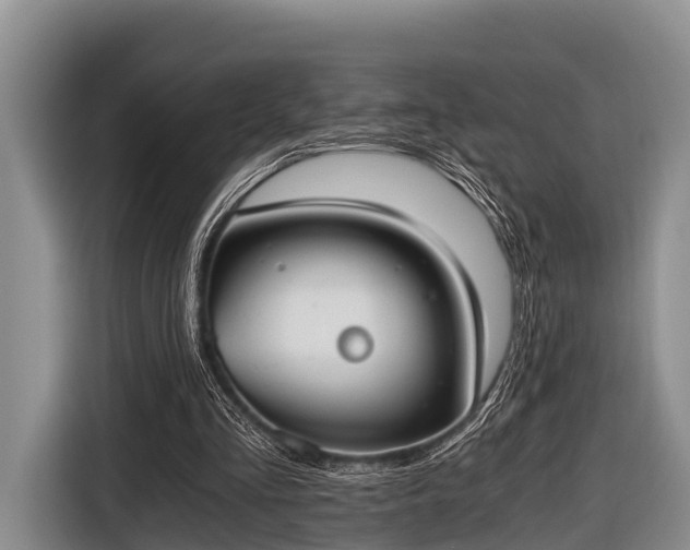 X0000116860293200912291305