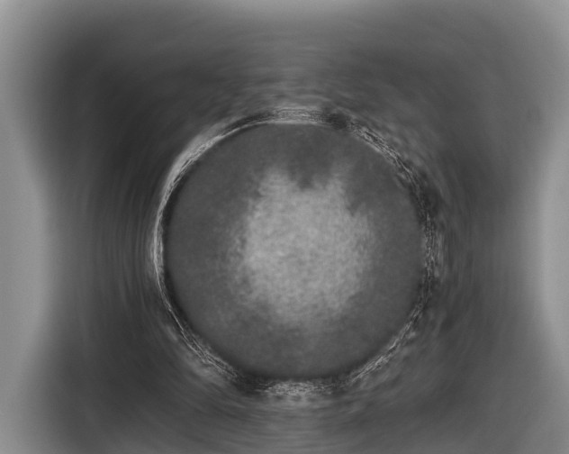 X0000116860294200912291305