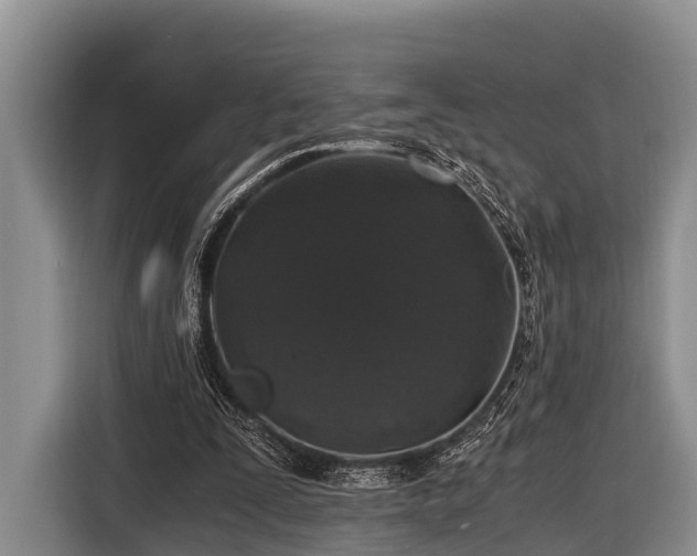 X0000116860295200912291305