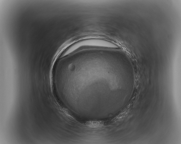 X0000116860296200912291305