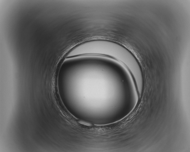 X0000116860297200912291305