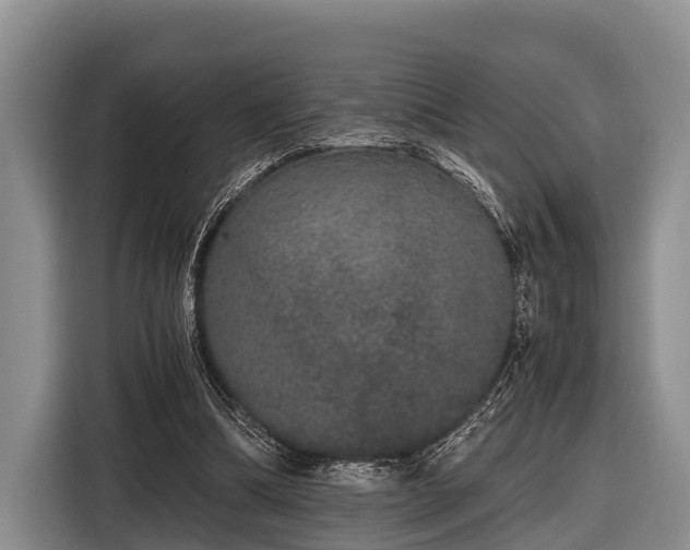 X0000116860298200912291305