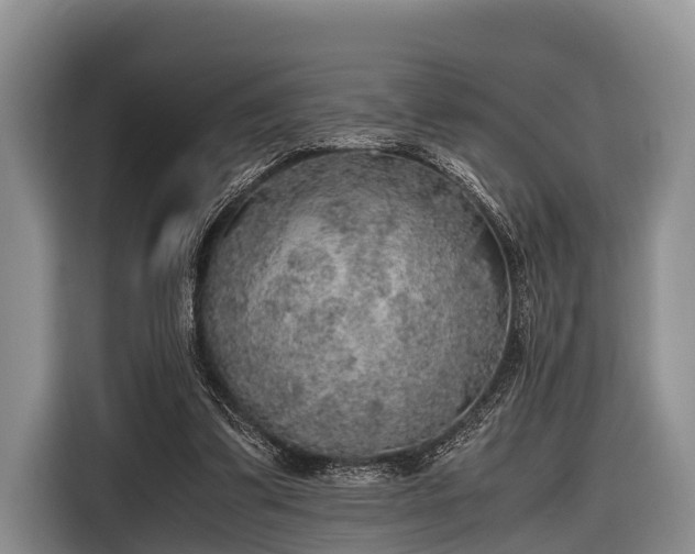 X0000116860299200912291305