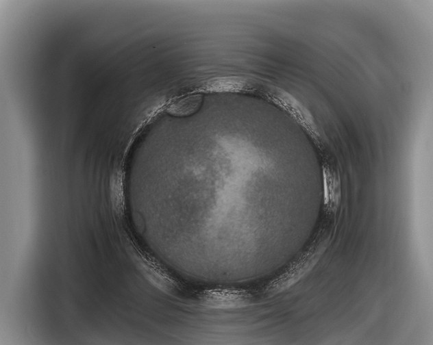 X0000116860300200912291305