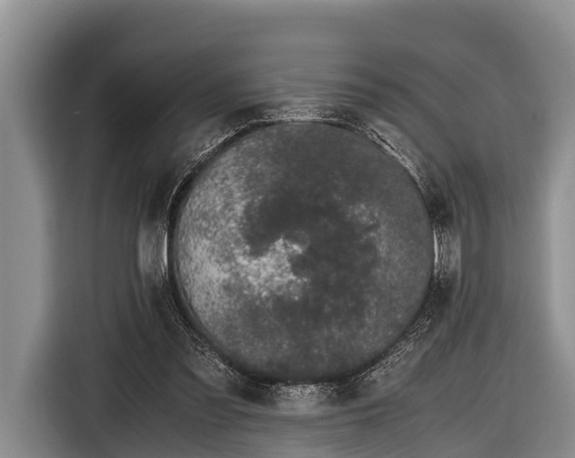 X0000116860301200912291305