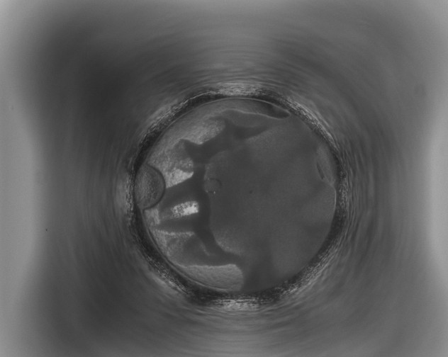 X0000116860303200912291305