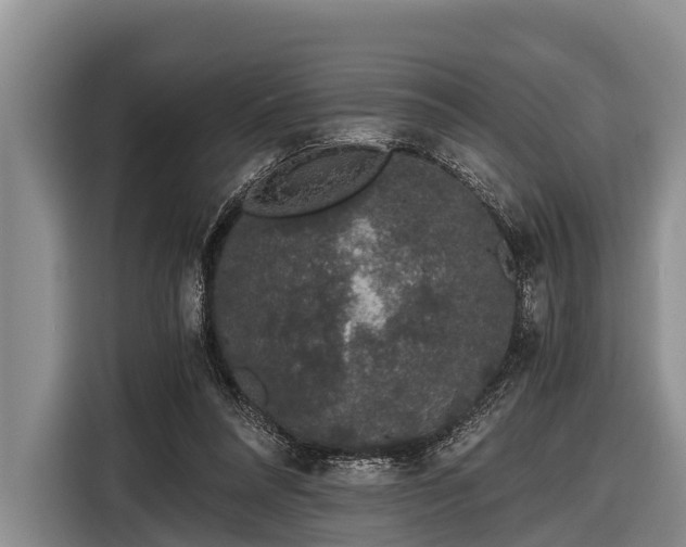 X0000116860304200912291305