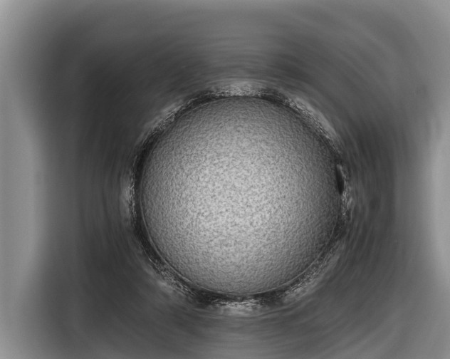 X0000116860306200912291305