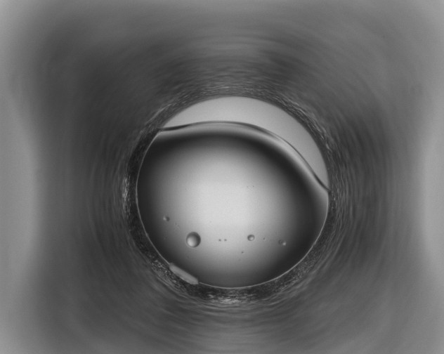 X0000116860308200912291305