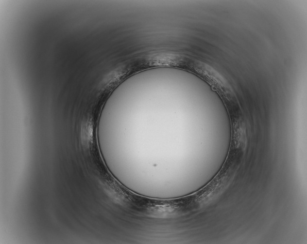 X0000116860310200912291305