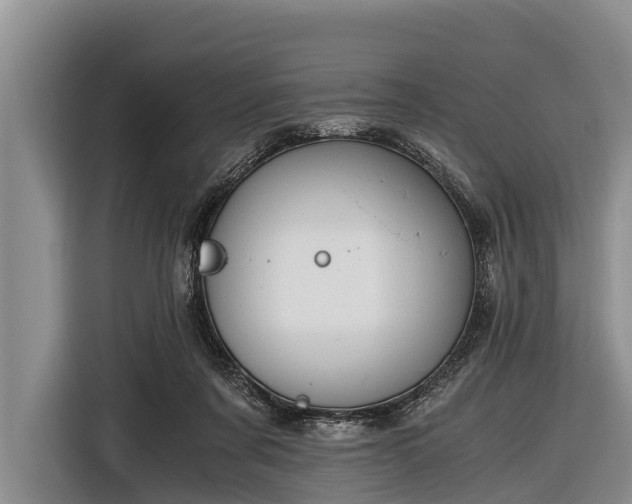 X0000116860311200912291305