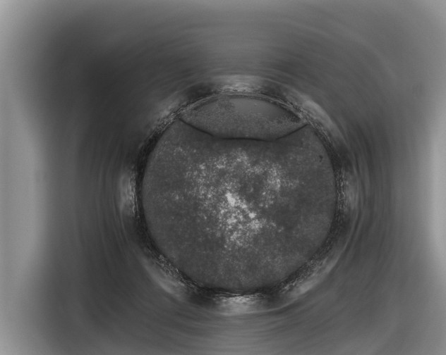 X0000116860312200912291305