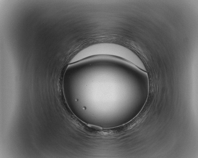 X0000116860317200912291305