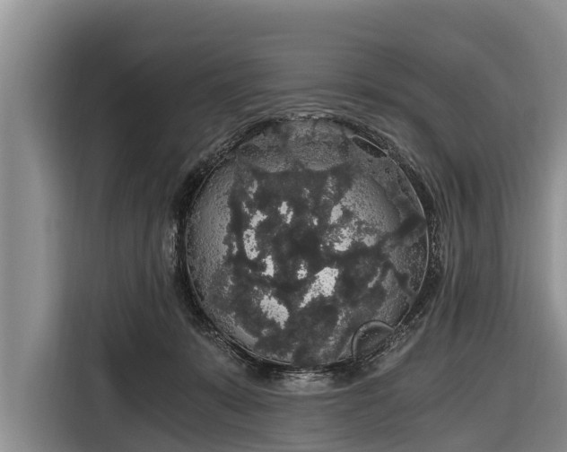 X0000116860319200912291305