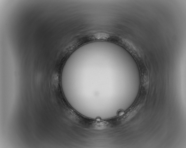 X0000116860321200912291305