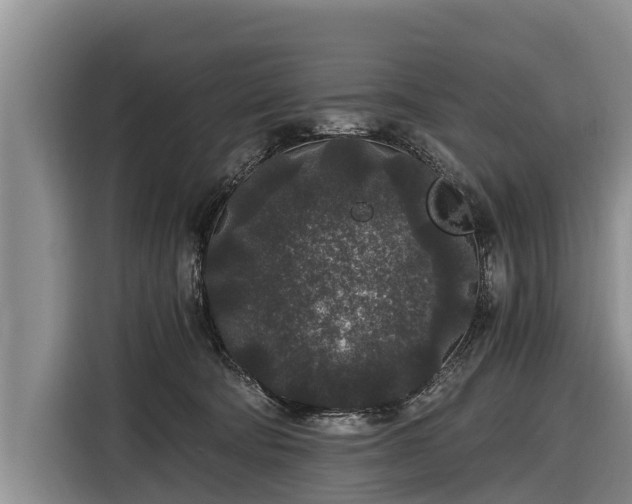 X0000116860322200912291305