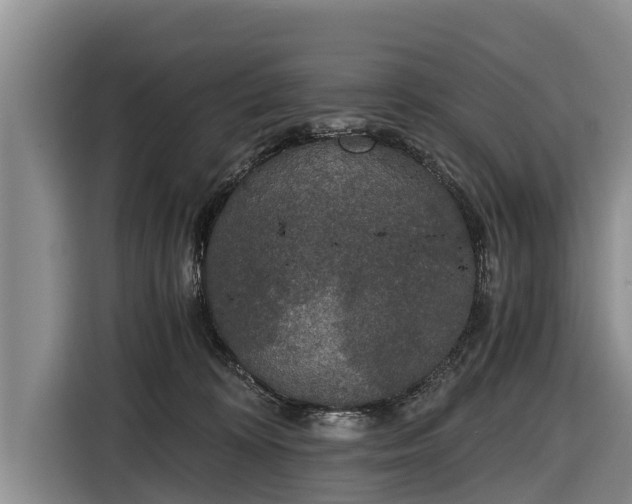 X0000116860324200912291305