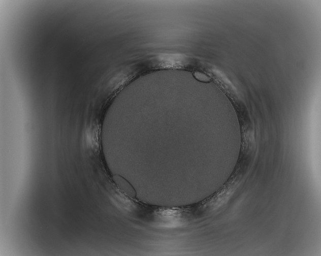 X0000116860325200912291305