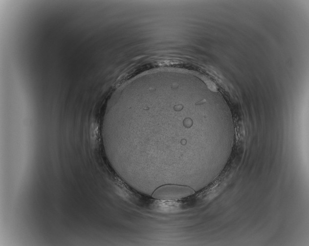 X0000116860327200912291305