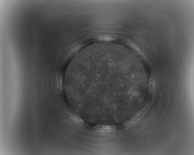 X0000116860330200912291305