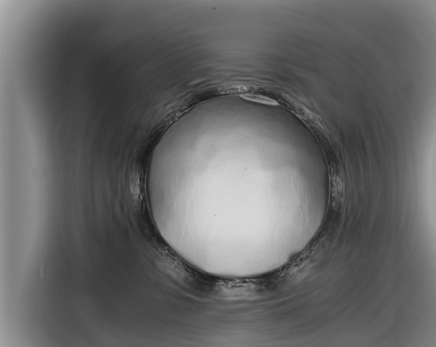 X0000116860331200912291305