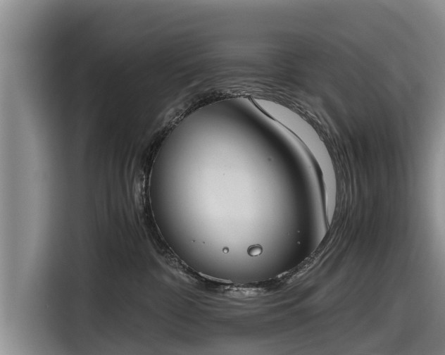 X0000116860332200912291305